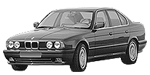 BMW E34 P1496 Fault Code